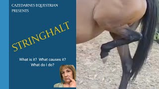 Stringhalt in Horses - What is it, and what is it caused by