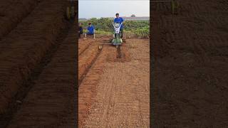 "Efficient farming with a power tiller! 🚜✨ #farming #agriculture #innovation #shorts"