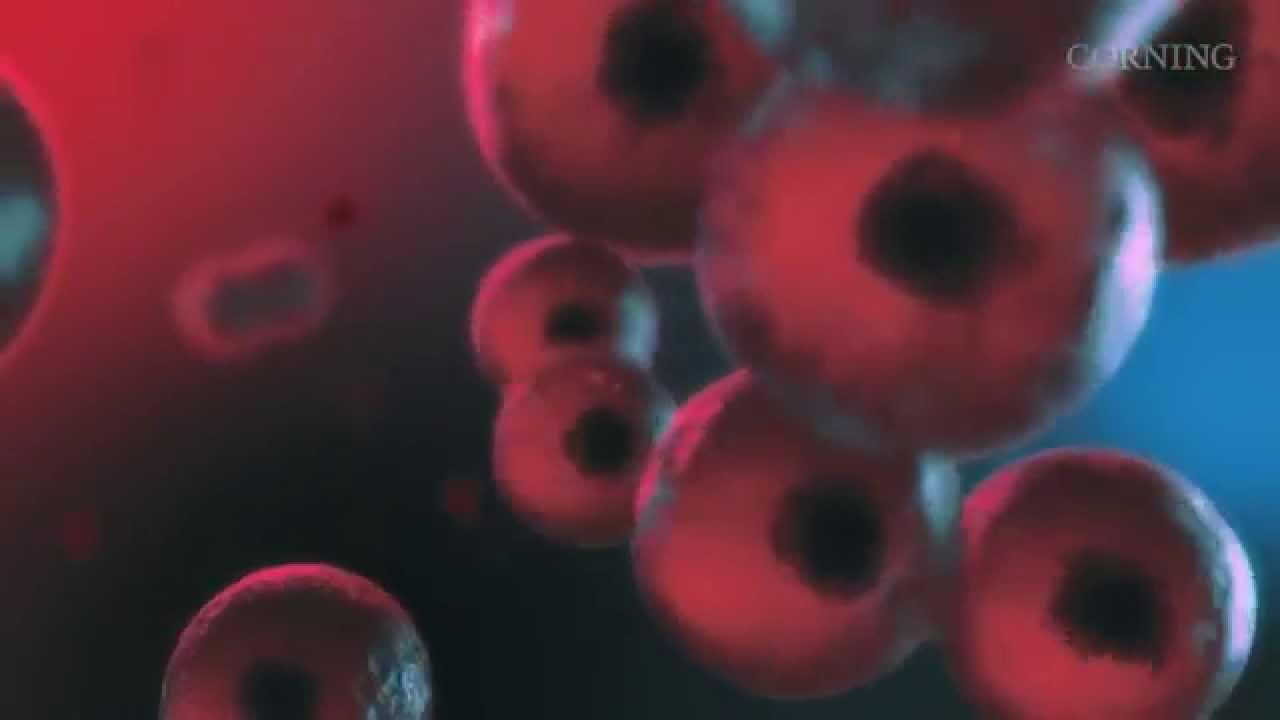 Happier Little Cells Corning Life Sciences YouTube