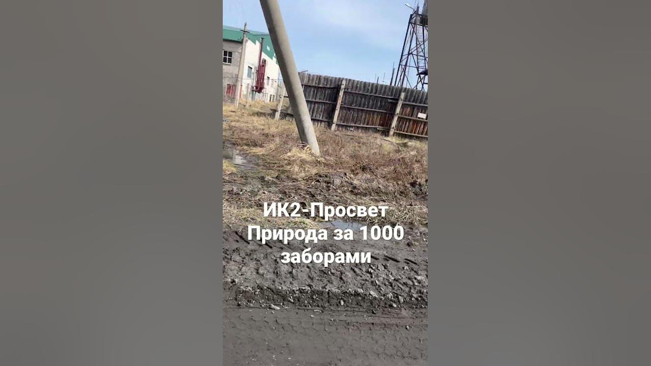 ИК-2 Просвет - YouTube