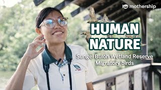 Human Nature: Sungei Buloh Wetland Reserve
