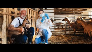 Veterinary Medicine Loan Repayment Program VMLRP Technical Assistance Webinar