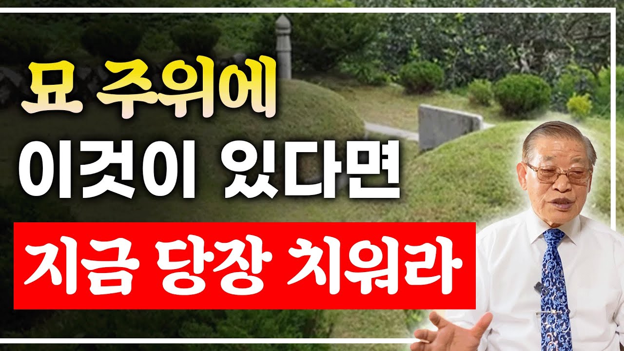 묘 주위에 이것이 있다면, 지금 당장 치워라⚠️ [E.309]