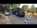 Police Think Mountain Lion may be in Modesto Park