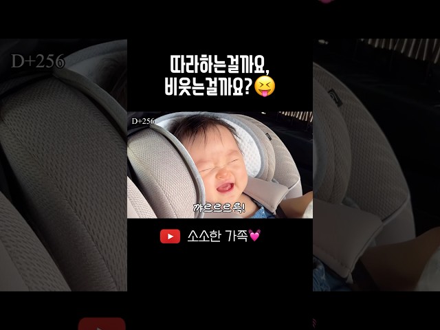 뒷좌석에서 알콩달콩????아빠 부럽쥐? #8개월아기
