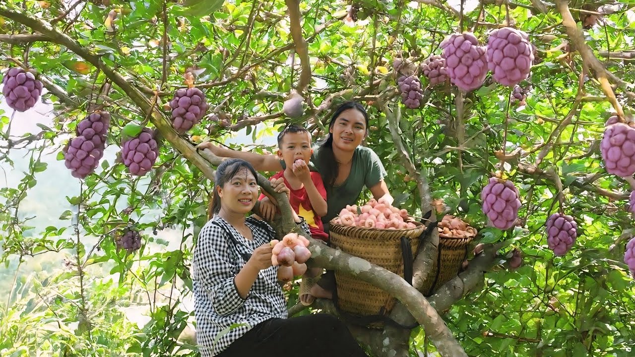 Picking fruit to sell at the market, earning money while waiting for the day his wife gives birth