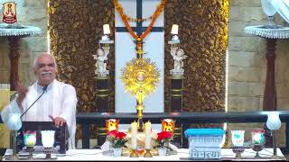 Fr Errol's presentation on  Magnifica Humanitas