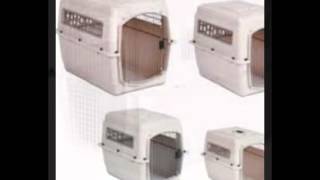 Kennel Cab screenshot 5