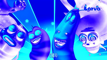 Larva Intro in Chorded