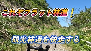 これぞフラット林道　快適快走！