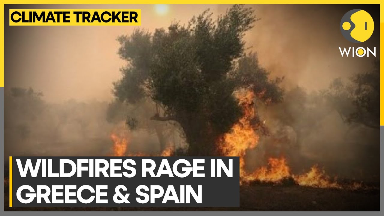 Wildfires rage in Greece & Spain as soaring temperatures persist | WION Climate Tracker
