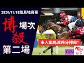 賽馬貼士: 跑馬地賽事(2020年11月18日)第二場