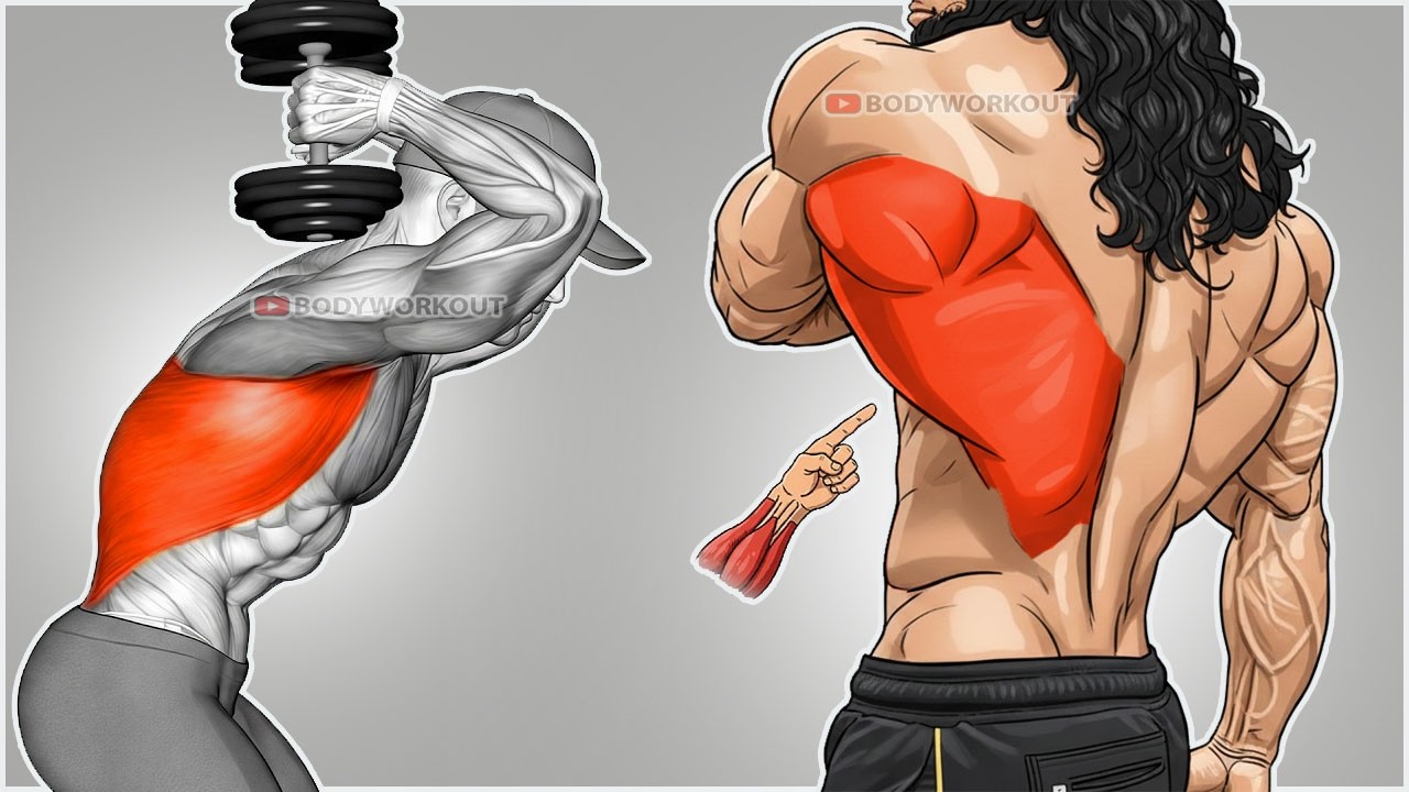🔥Best Exercises to Grow Lats Fastest