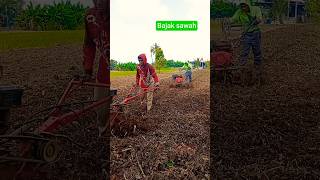 Lahan nganggur kita bajak, untuk tanaman jagung #pertanian #bajaksawah #sawah