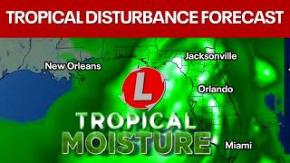 Tropical disturbance in the Gulf: Should we worry?