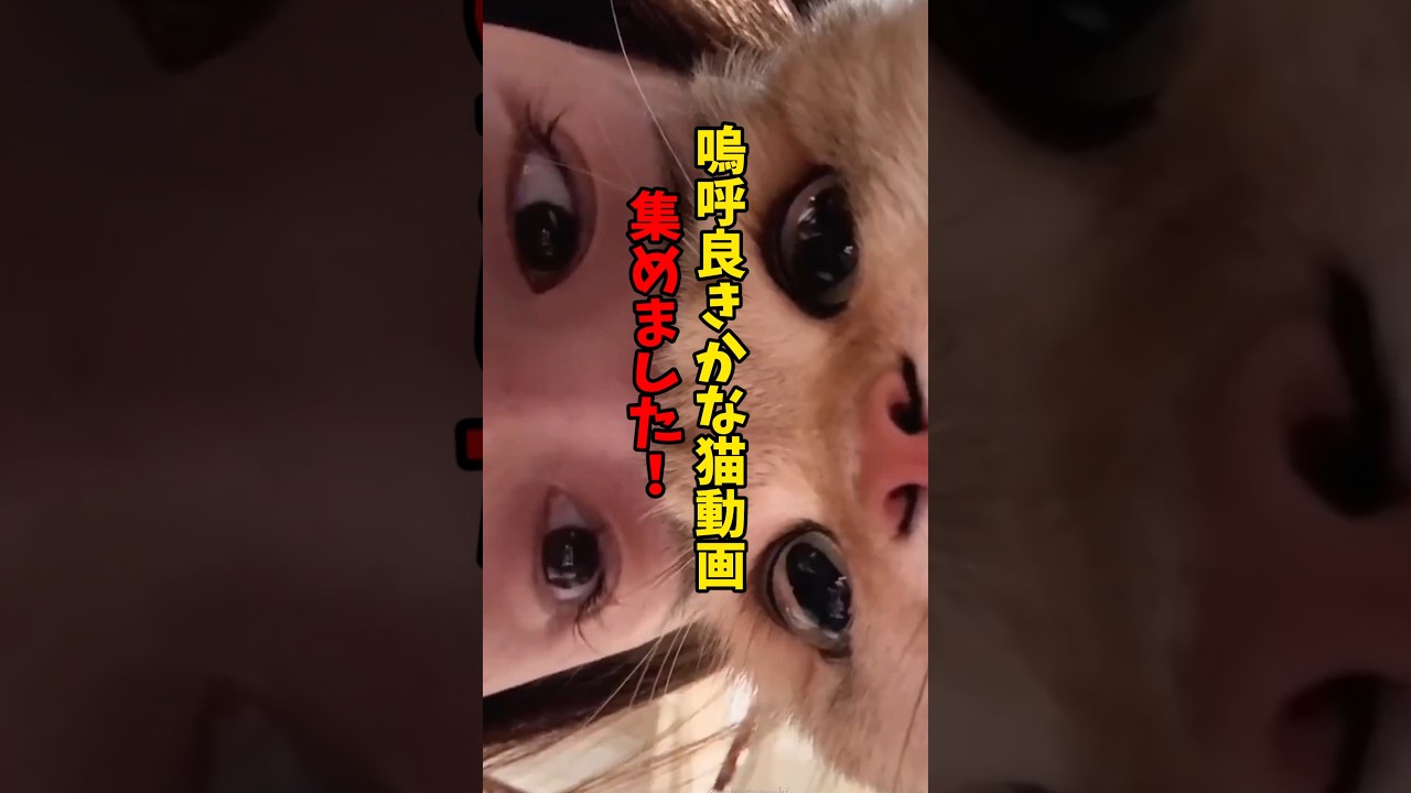 良きかな良きかな〜😍