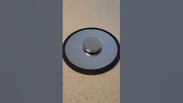 Incredible Science Toy: The Euler