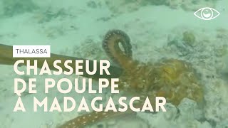 Chasseur de poulpe à Madagascar - Thalassa