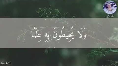 ما تيسر من سورة طه الراقي محمد وكيل