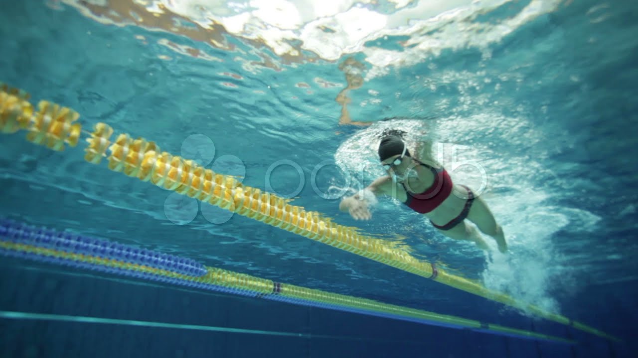 Female Swimmer In Indoor Swimming Pool. Stock Footage - YouTube