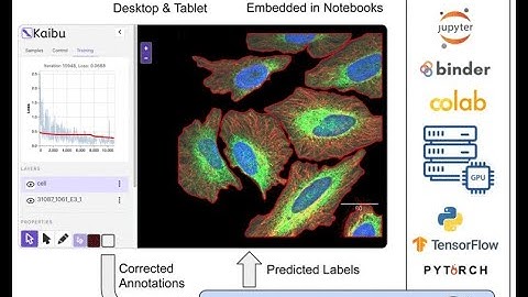 Introduction to ImJoy: AI-powered image analysis on the web - [NEUBIAS Academy@Home] Webinar