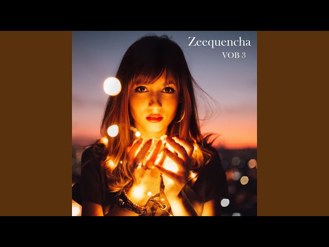 Zeequencha - Everywhere I Look Around