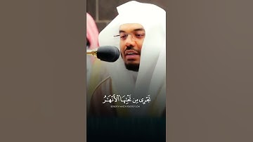 وَمَن يُؤْمِن بِاللَّهِ وَيَعْمَلْ صَالِحًا ~ تلاوة بياتية جميلة تريح القلوب للشيخ ياسر الدوسري 😴🤍