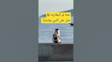 #سورة_الإنشقاق #ماهر_المعيقلي #اكسبلور #كامري #لايك #تيك_توك #رمضانمبارك #راحة_نفسية #ترند #دويتو