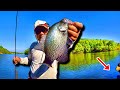 THIS Method IS Second To None! Crappie Fishing From The Bank