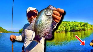 THIS Method IS Second To None! Crappie Fishing From The Bank