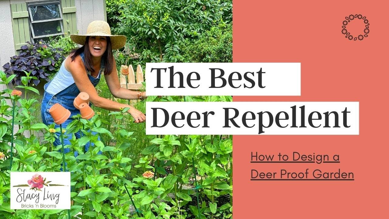 The Best Deer Repellent || How To Deer Proof Your Garden 🌸 Bricks 'N Blooms