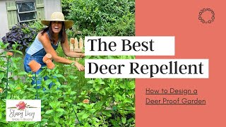 The Best Deer Repellent || How to Deer Proof Your Garden 🌸 Bricks 