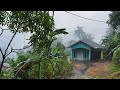 Relaxing rain and mist in an indonesian mountain villagerelaxing atmosphere