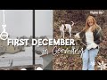 Our First December in Germany: IKEA run, Christmas Shopping, and the First Snow Fall of Winter ❄️