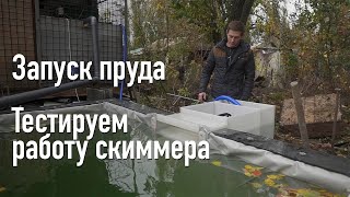 Запустили пруд, изготовили скиммер для пруда