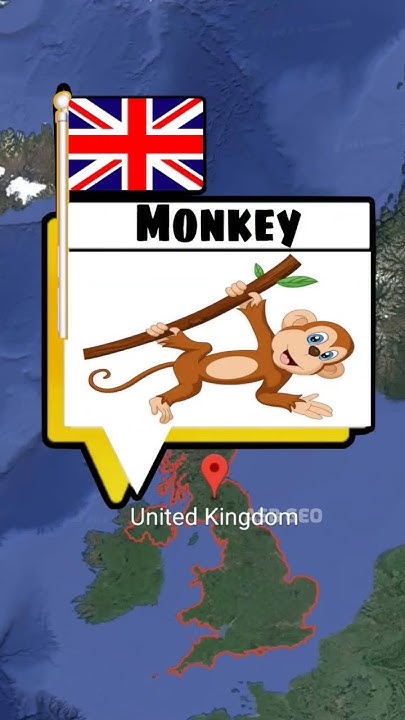 most-hated-names-in-different-countries-shorts-ytshorts-youtube