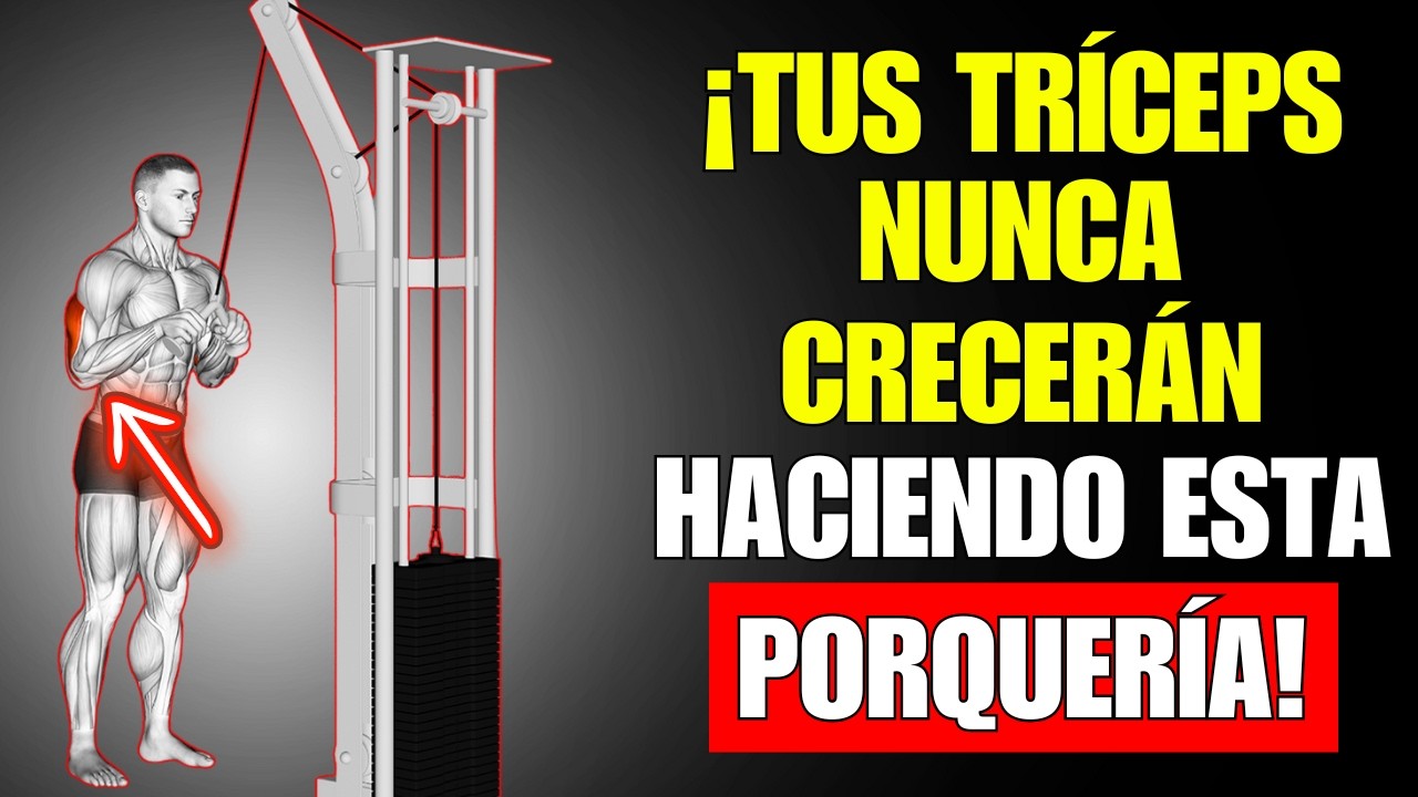 ¡7 Razones Por Las Que Tus Tríceps Nunca Crecen!