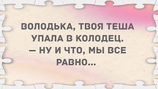 Теща упала в колодец. Сборник веселых жизненных анекдотов! Юмор!