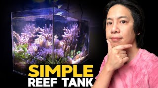 17g Reef Update: New fish, new corals, same macro algae!
