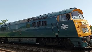 Vintage Trains D1015 'Western Champion' 1Z33 Paddington to Plymouth 'The Golden Hind' 23/05/2026
