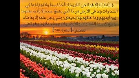 تلاوة آية الكرسي بصوت القارئ وديع اليمني