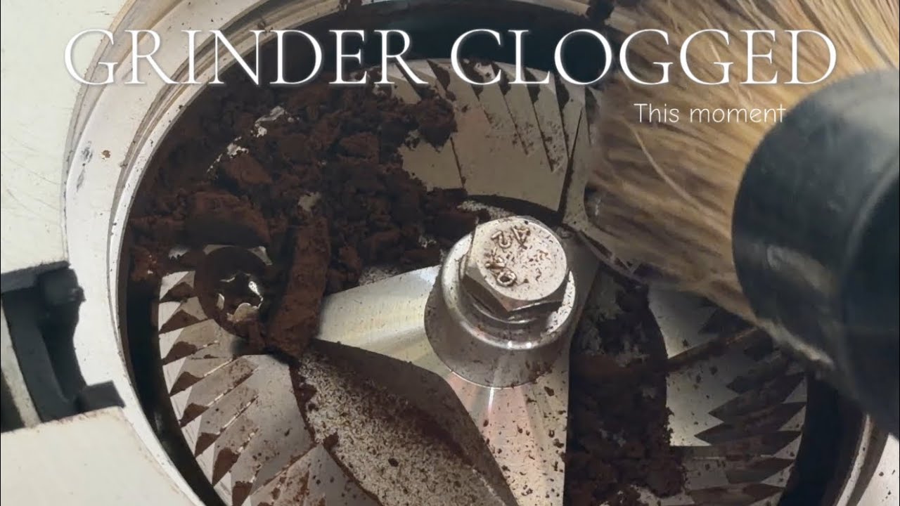 This Moment | Cleaning the DF64 Gen 2 Grinder