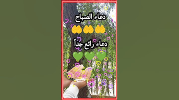 دعاء الصباح🤲 دعاء رائع جداً💚 أذكار الصباح والمساء🤲 حالات واتس دينية🤲 صباحيات ♥️ #اكسبلور #دعاء