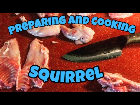 Preparing And Cooking Squirrel - YouTube