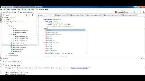 Angular 6 Lesson 9, Use of Selector