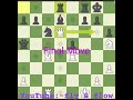 Find the final move of this game. excellent chess game puzzle beginners
