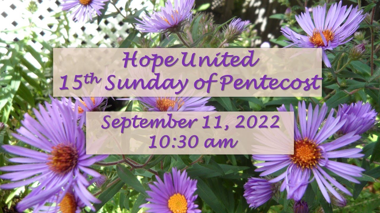 15th Sunday of Pentecost