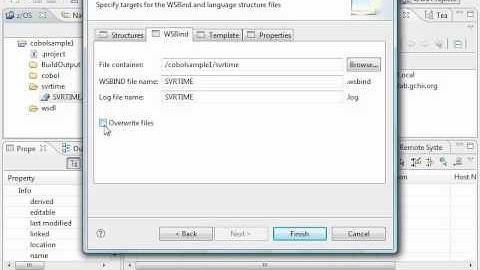 Rational Developer for z: Invoking a Web Service from CICS COBOL on z/OS - Preview 3.9