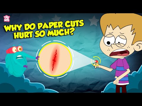 Why Do Paper Cuts Hurt So Much? | How Does Your Brain Respond to Pain? | The Dr. Binocs Show