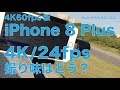 ＜4K60fps書き出し版＞iPhone8Plusの新機能：映画と同じフレームレート4K/24fpsはどんな感じ？